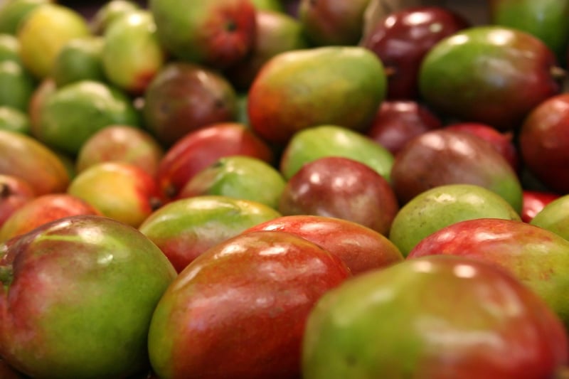 Exotic Ingredients
